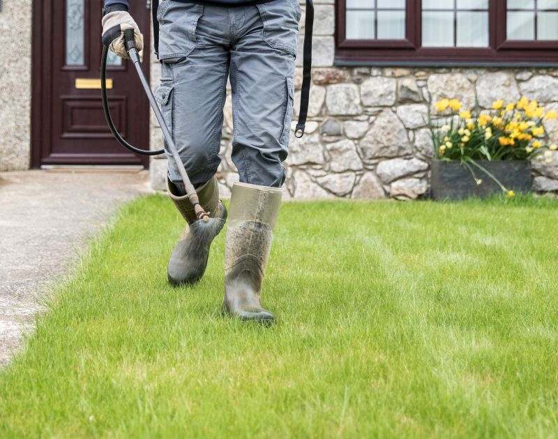 Yard Grading Service