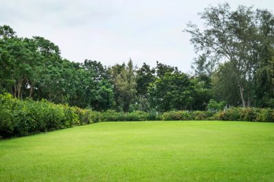 Create a Great Back Yard